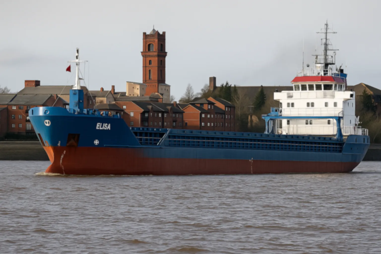 MV ELISA